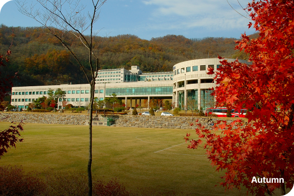 한국고용노동교육원의 가을 사진