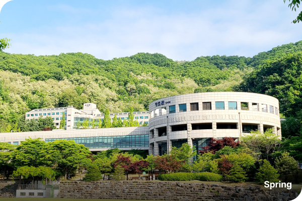 한국고용노동교육원의 봄 사진