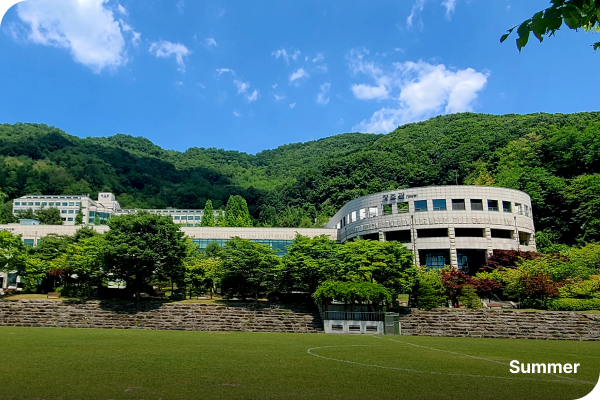 한국고용노동교육원의 여름 사진