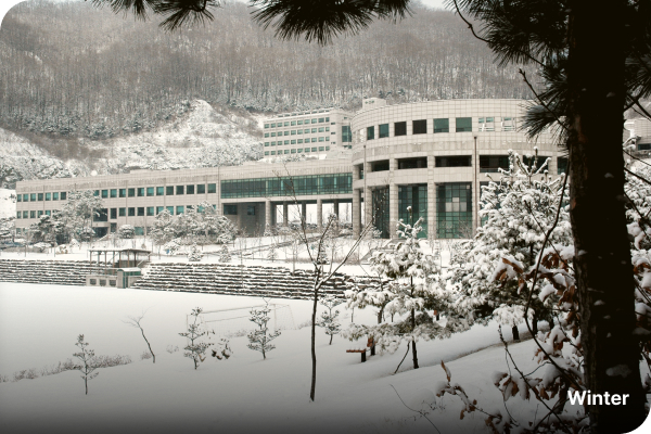 한국고용노동교육원의 겨울 사진